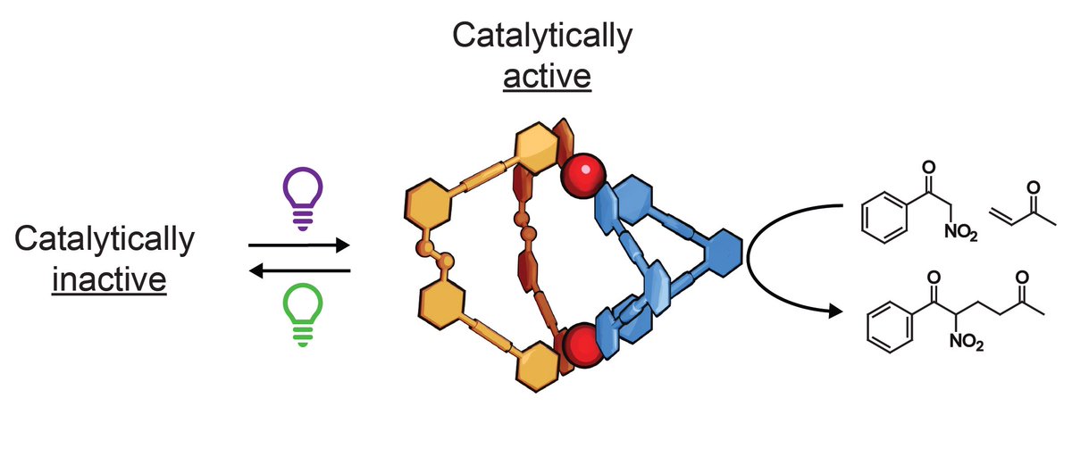 Our latest pre-print is up on @ChemRxiv! We made a photoswitchable cage that can catalyse a Michael addition reaction. The cage (and catalysis) can be switched reversibly ON/OFF with visible light. Comments, corrections, and suggestions are very welcome!
doi.org/10.26434/chemr…