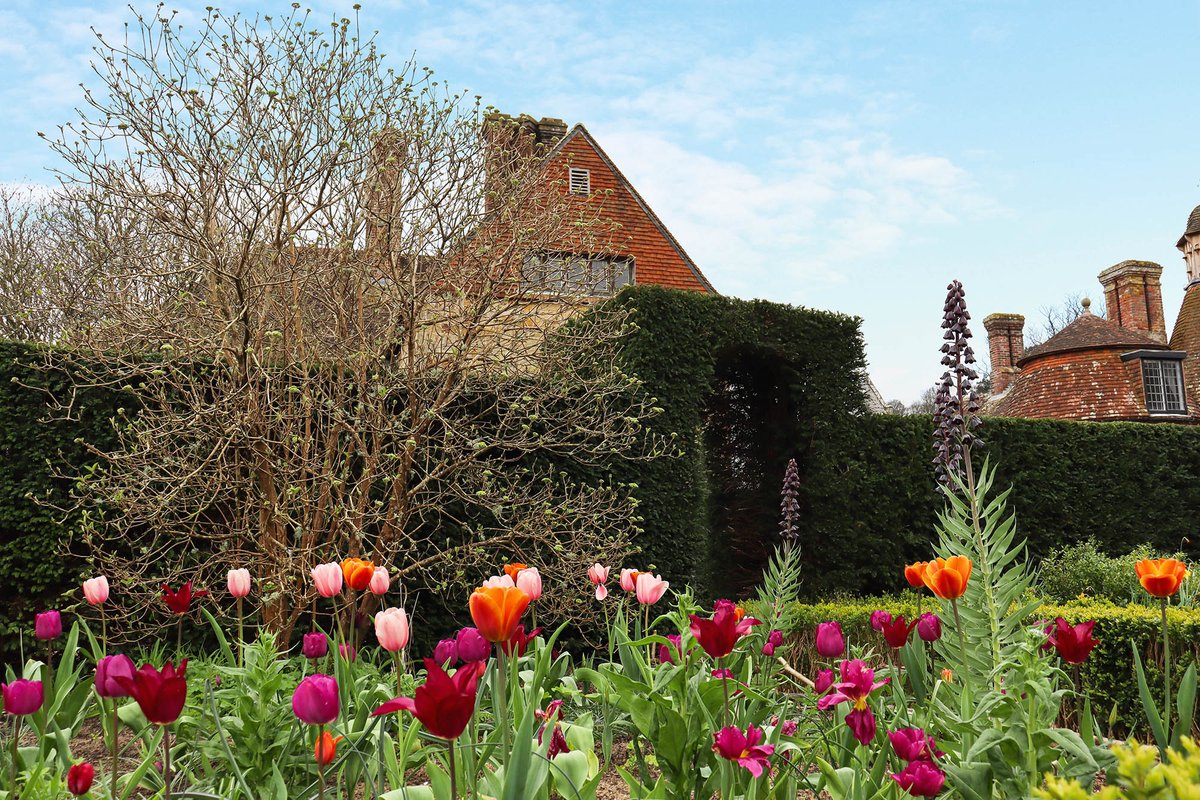 Spring is in full swing at Bateman's. Enjoy a leisurely stroll around the garden and see what you can spot. 📸 National Trust/Lucy Evans