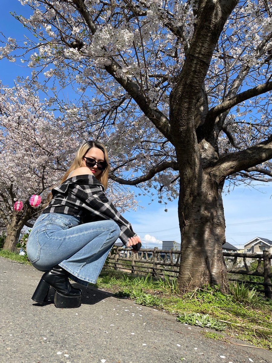 kuchama___'s tweet photo. お花見🌸

このぐらいムチムチの方がいいでしょ!!! https://t.co/eBkAhbboyF