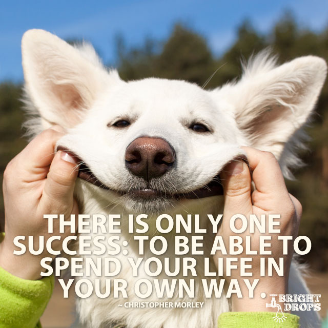 There is only one success. To be able to spend your life in your own way.