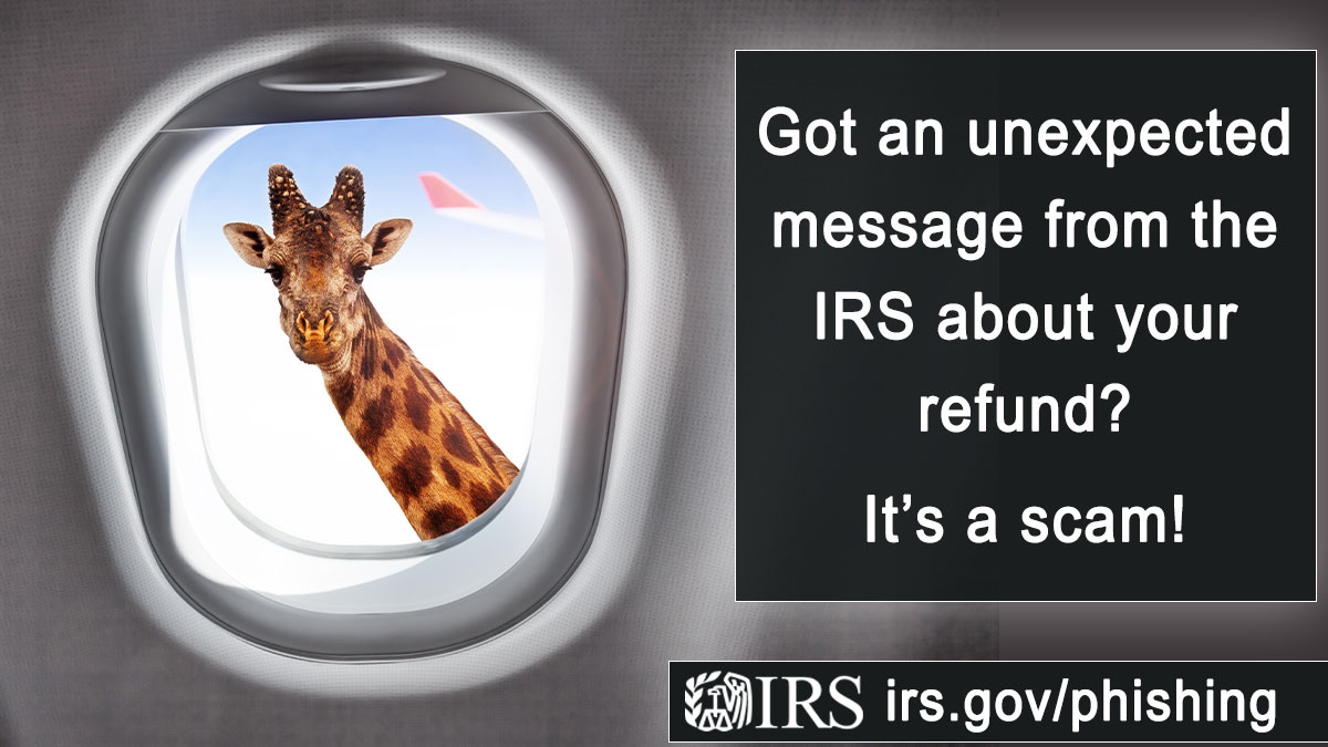 Got a suspicious text message or email from the #IRS asking to confirm your personal info to get your refund? It’s a scam! Here’s how to report it: irs.gov/phishing