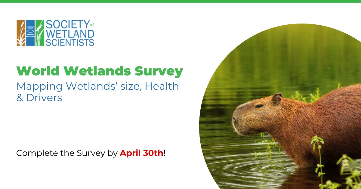 Your Voice Matters in the World of Wetlands! Dive into our global survey and play a pivotal role in our landmark study. It's your chance to influence the conservation and future of our precious wetlands. Complete the survey here: worldwetland.network/impact/global-… 🌎🍃