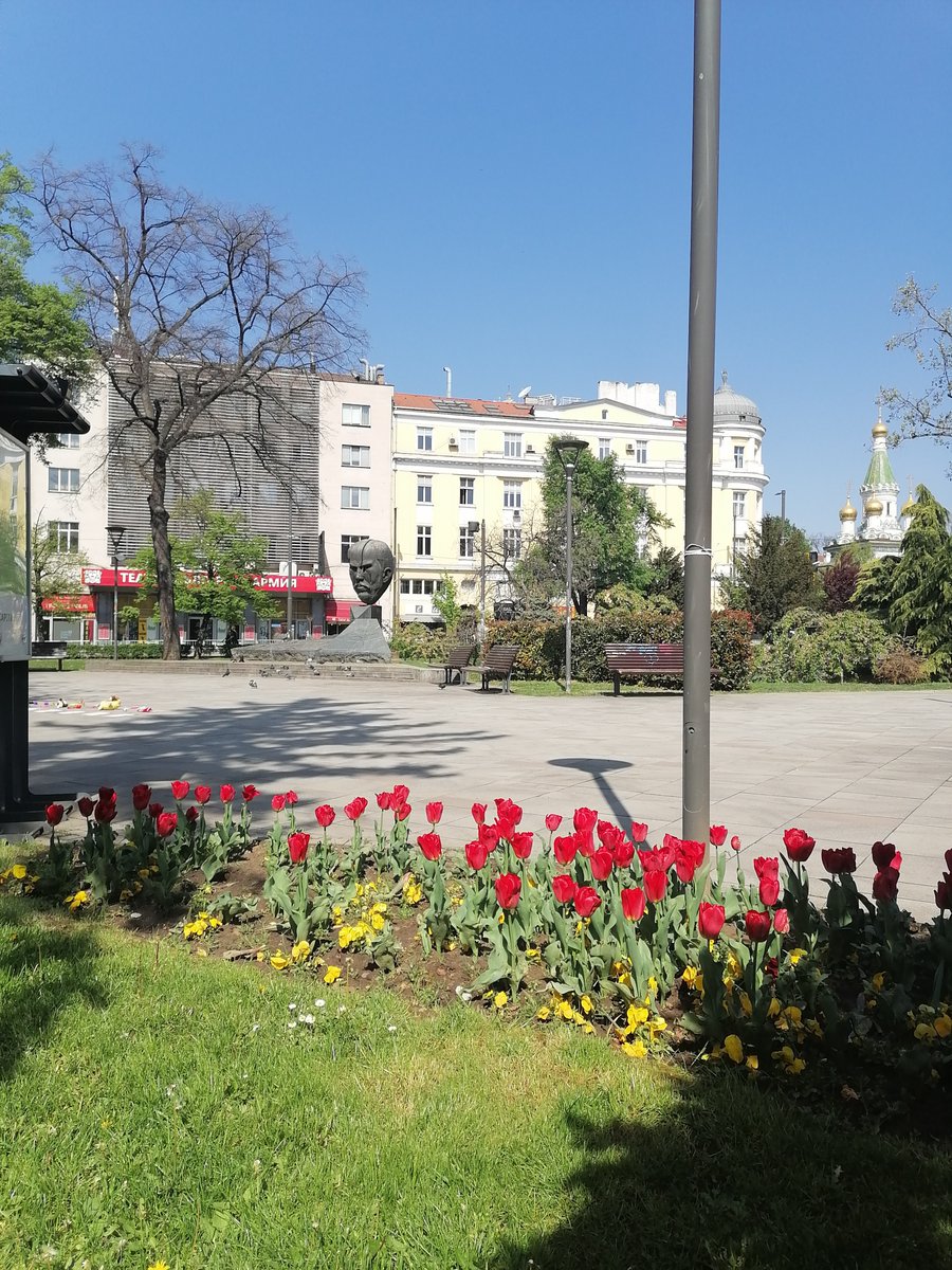 Sofya'da lale devri başladı.