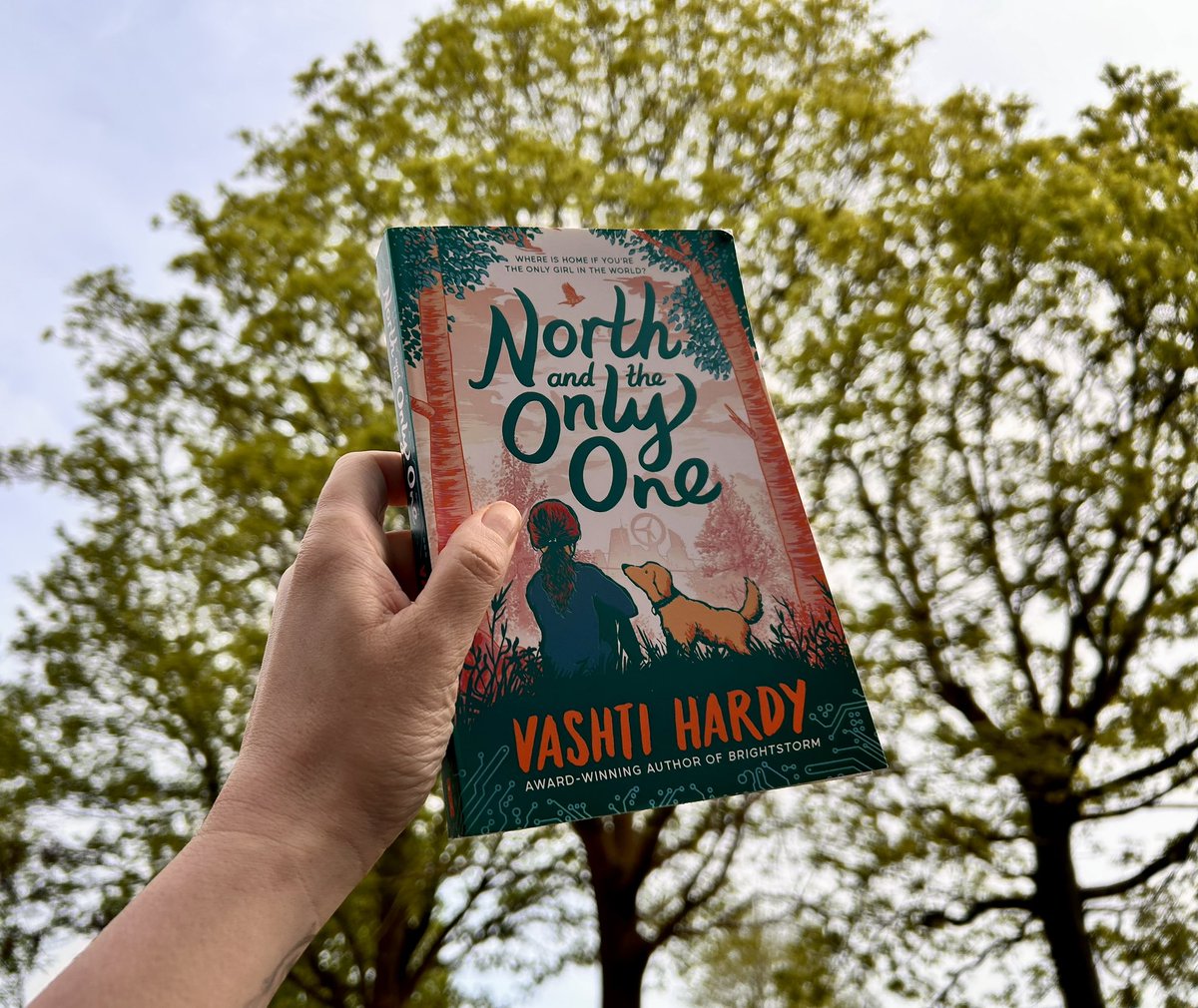 It’s a ‘reading in the garden’ kind of an afternoon. And it has to be the new @vashti_hardy title: #NorthAndTheOnlyOne