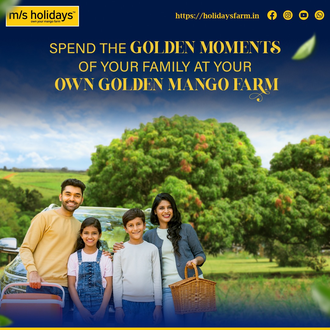 'Create Treasured Memories: Cherish Golden Moments at Your Own Mango Farmland!'

#msholidays #mangofarm #farming #farmlife #goldenmoments #livegreen #ownamangofarm #farmhouse #farmlife #happylife #weekend #happyfamily