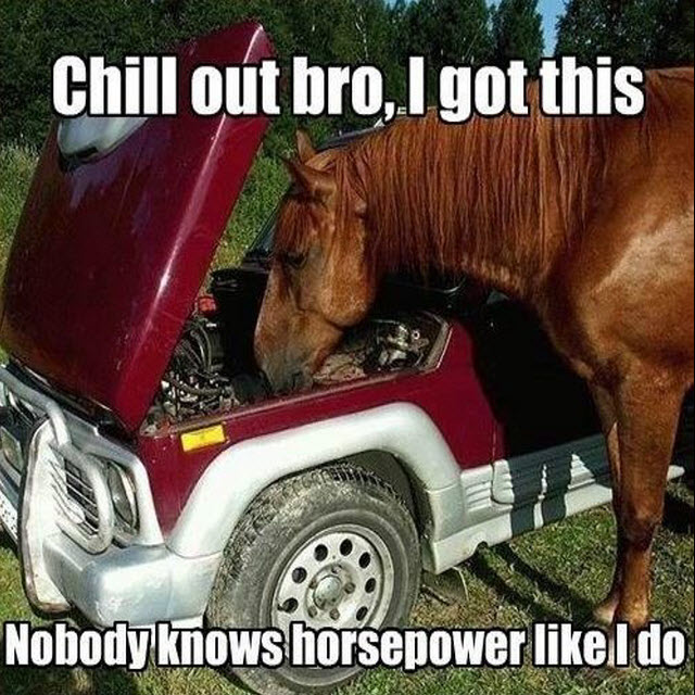 Got horsepower? #HorsePower #Cars #Funny