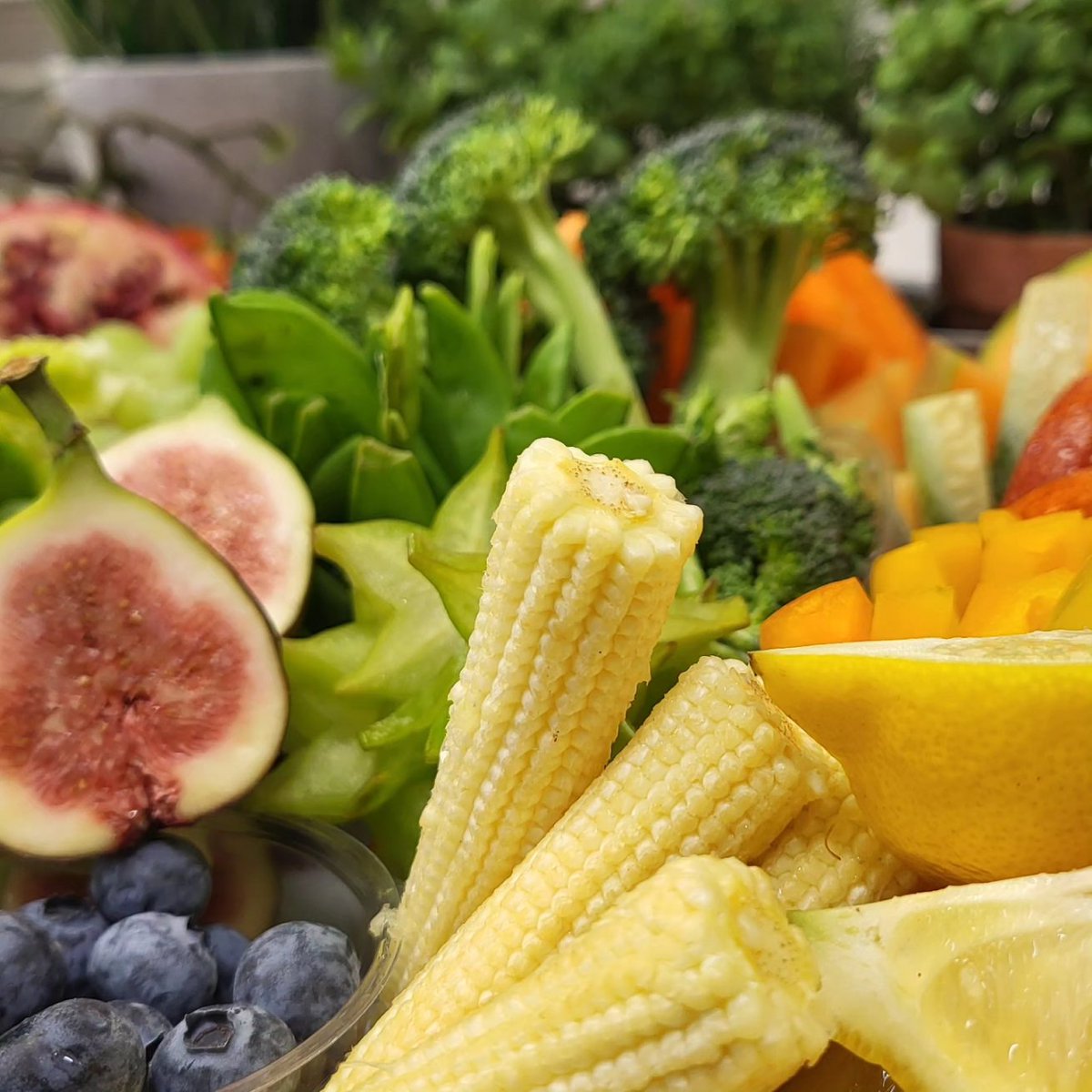 Holroydhowe WGSF tweet media