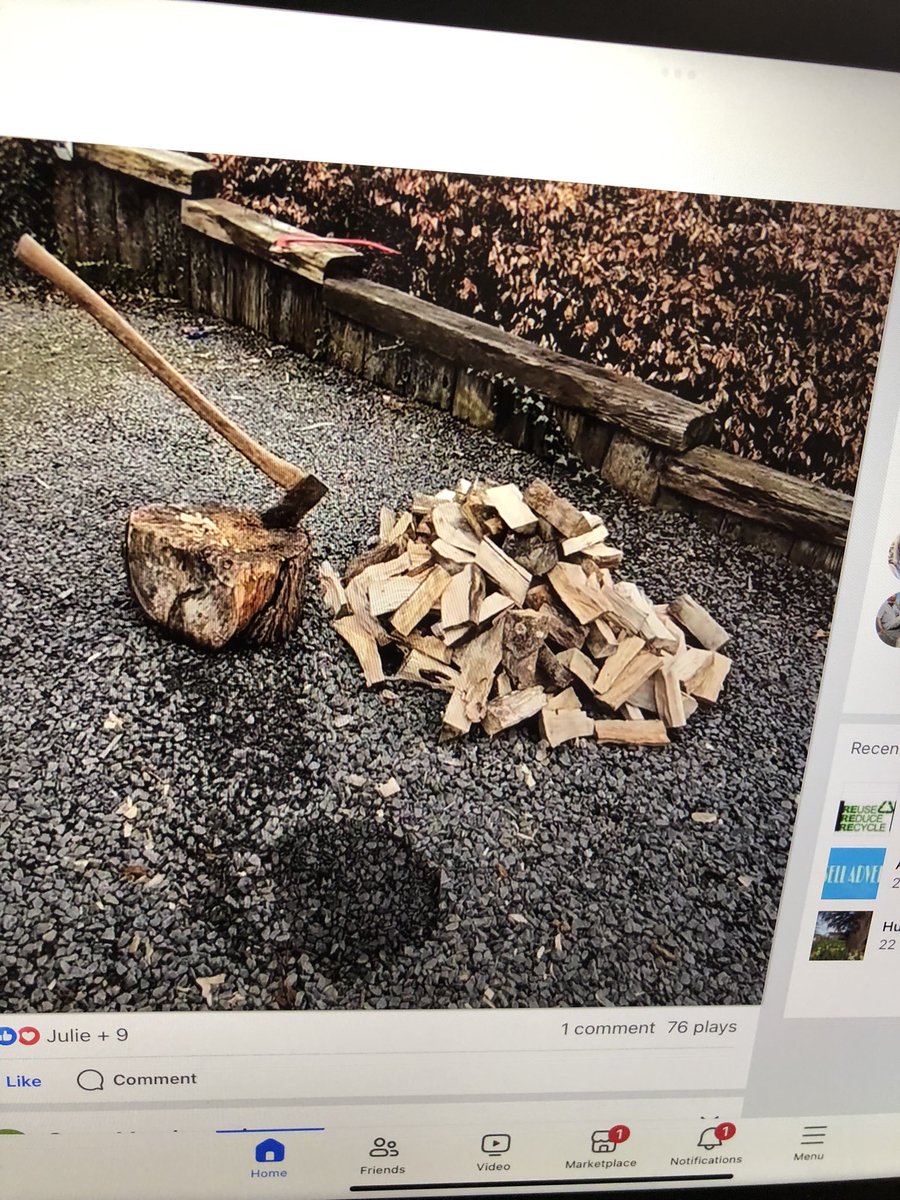 Neighbours log chopping efforts! Wonder how much electricity they could have generated doing that! 🤣#AirPollution #StopBurningStuff