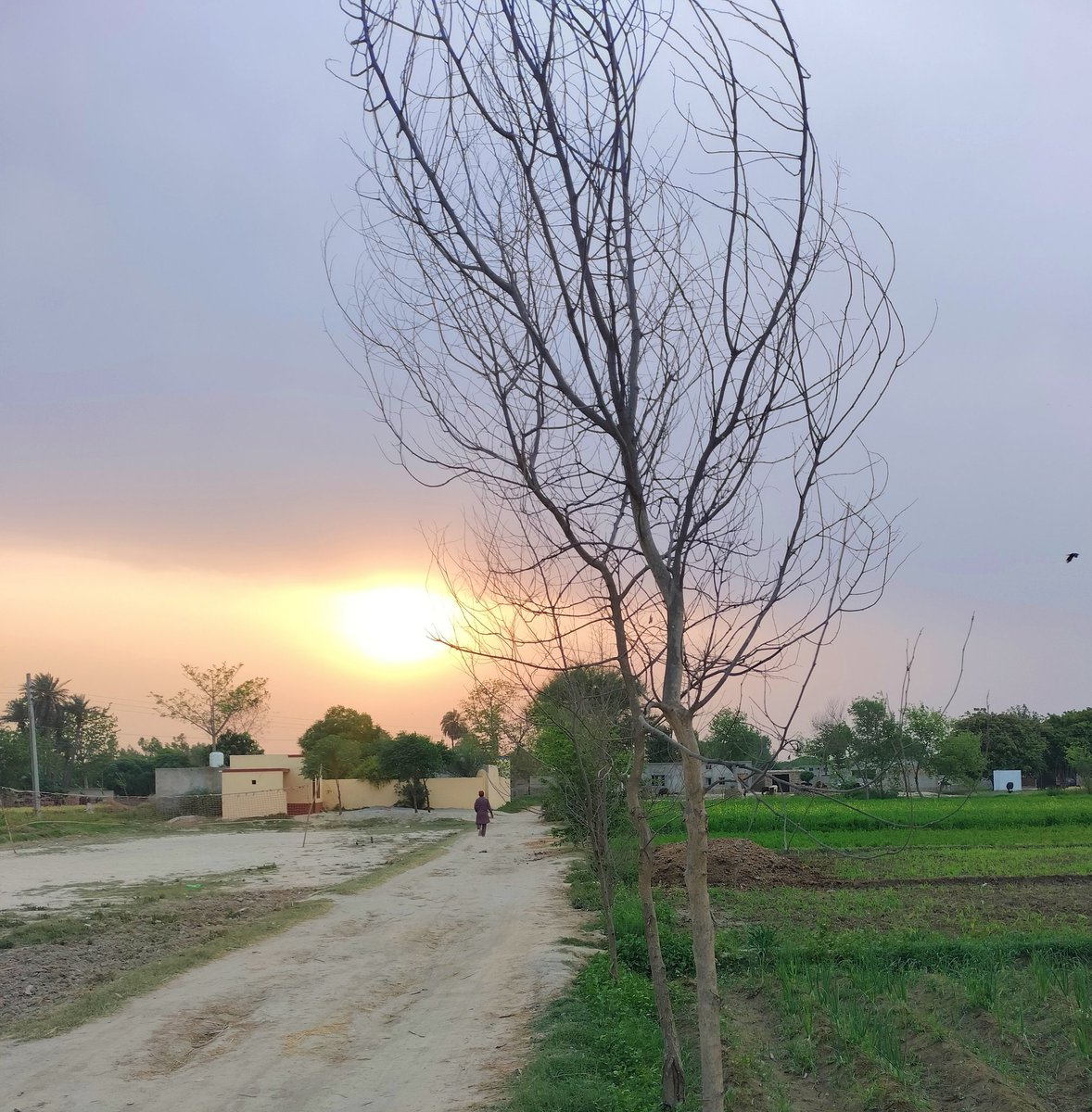 Shahidoo5's tweet photo. گھیر لیتی ہے سرِ شام اُداسی ایسے
گاؤں کی آخری بس چھوٹ گئی ہو جیسے۔ https://t.co/KpPrA4eIKw
