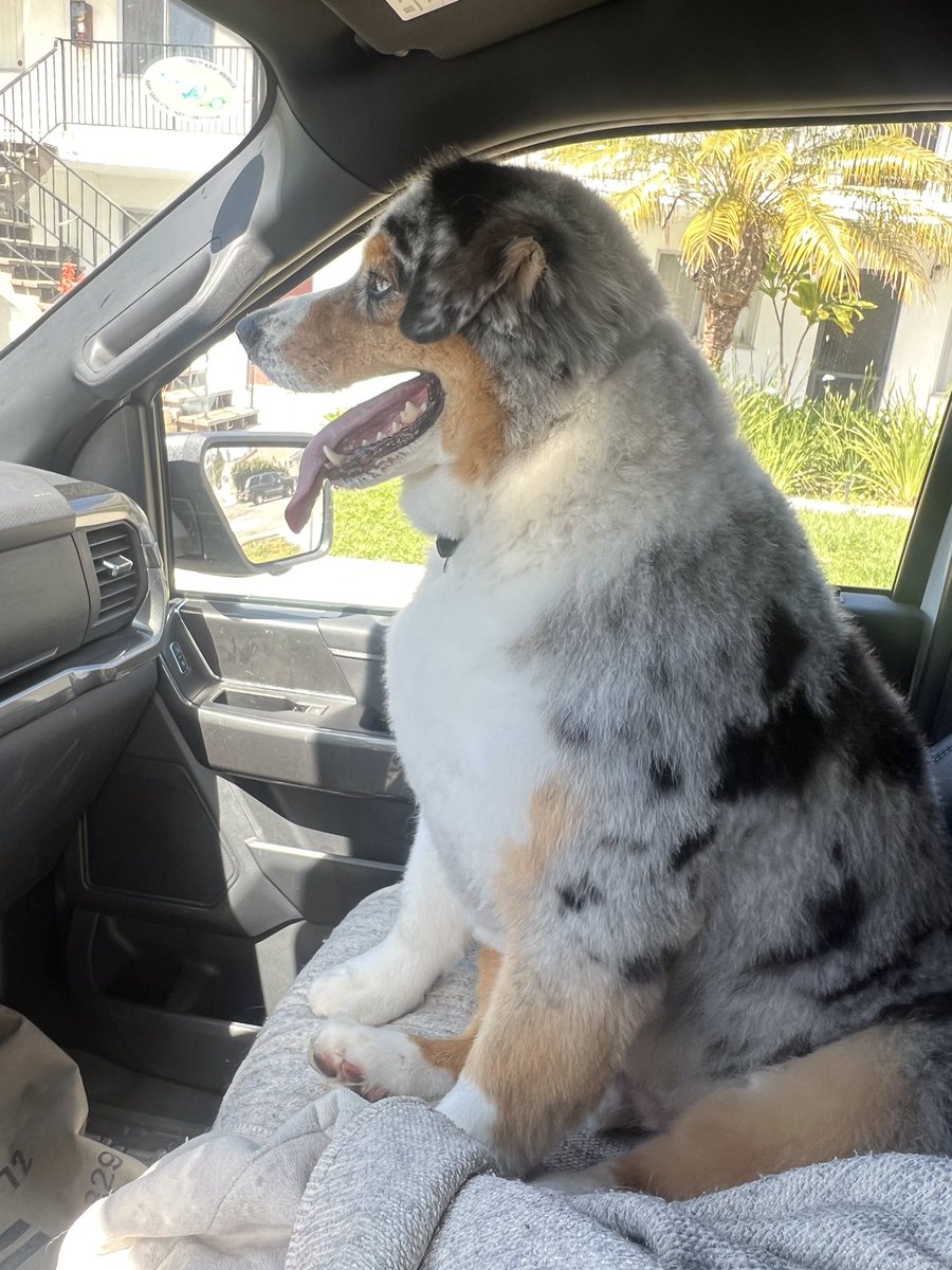 Happy Birthday to our boy Noah he’s 7 today such a great kid