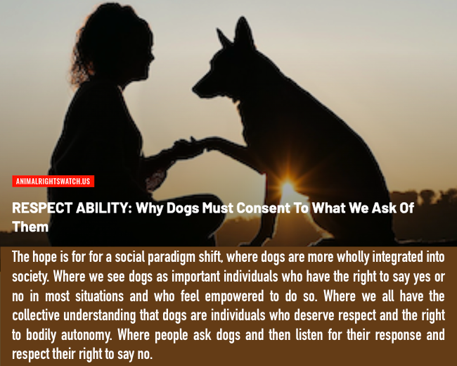 A_R_Watch's tweet photo. https://t.co/htR7aqWEog
#AnimalRights #AnimalLiberation #AnimalJustice #AnimalWelfare #AnimalEthics #AnimalAdvocacy #AnimalCruelty #AnimalSentience #AnimalIntelligence #AnimalCognition #AnimalAgriculture #Speciesism #EndSpeciesism #Veganism #Vegan #EmptyCages #EmptyTanks #Dogs https://t.co/2WWdVqzWmv