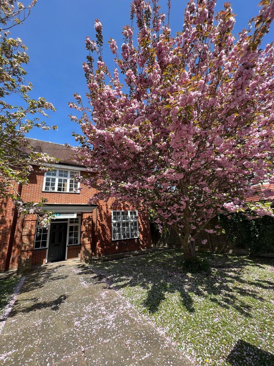 Spring is most certainly in the air, our beautiful blossom trees are blooming! 🌸

smrsolicitors.co.uk

#solicitorsuk #westsussex #chichester #springtime