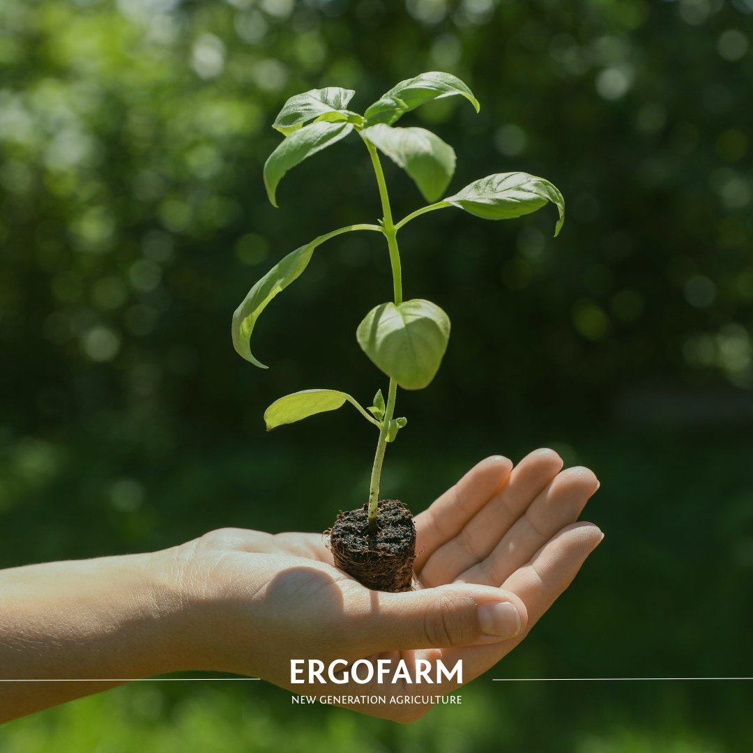 Geleceğin Yeşil Nefesi: Dikey Tarım 🌱💚

#ErgoFarm #VerticalFarming #SustainableAgriculture #SoillessFarming #InnovativeFarming #OrganicFarming #FutureFarming #Sustainability #DikeyTarım #SürdürülebilirTarım #TopraksızTarım