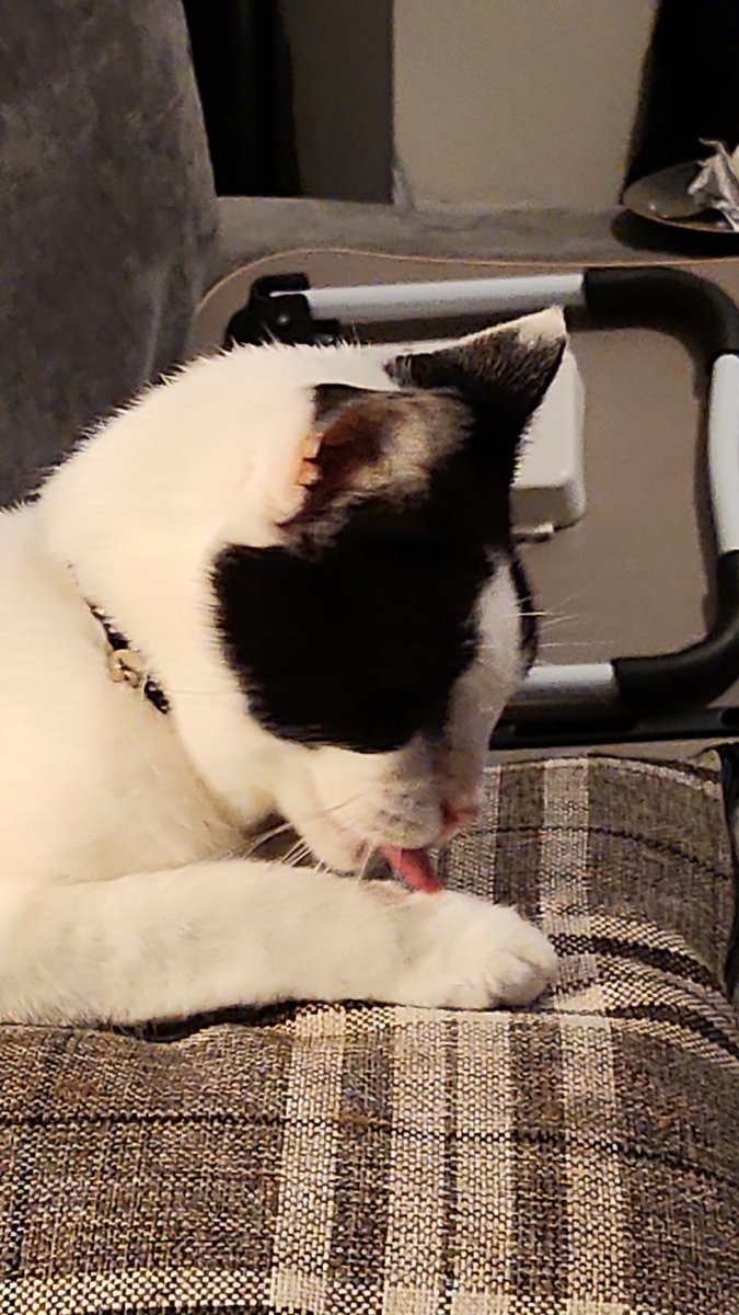 Ms_Mac_78's tweet photo. Sleep tight old boy, you can rest now Snoopy. You'll be missed by my children and me, you were a great pet and we were lucky to have you in our lives for almost 18 years. 😪💙 https://t.co/KBCacztWpc