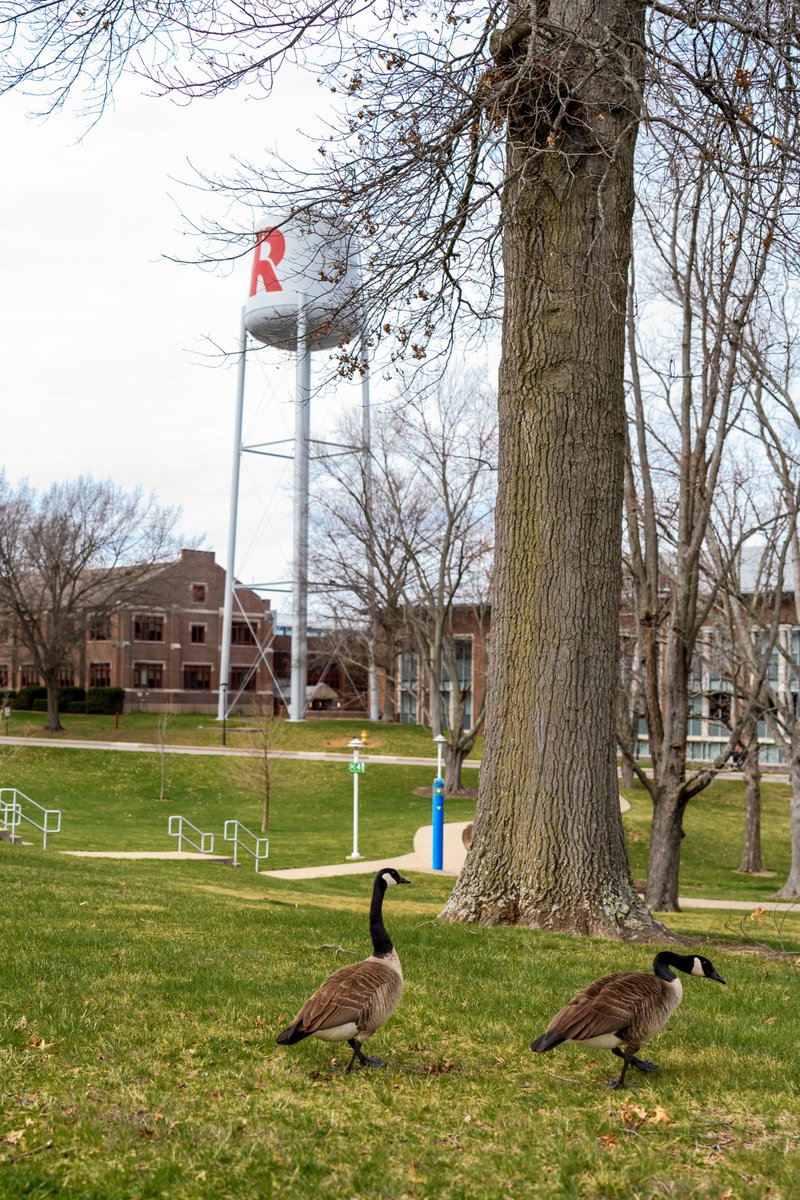 We're not the only ones looking forward to students returning to campus this weekend for the second half of the spring academic quarter. #rosehulman