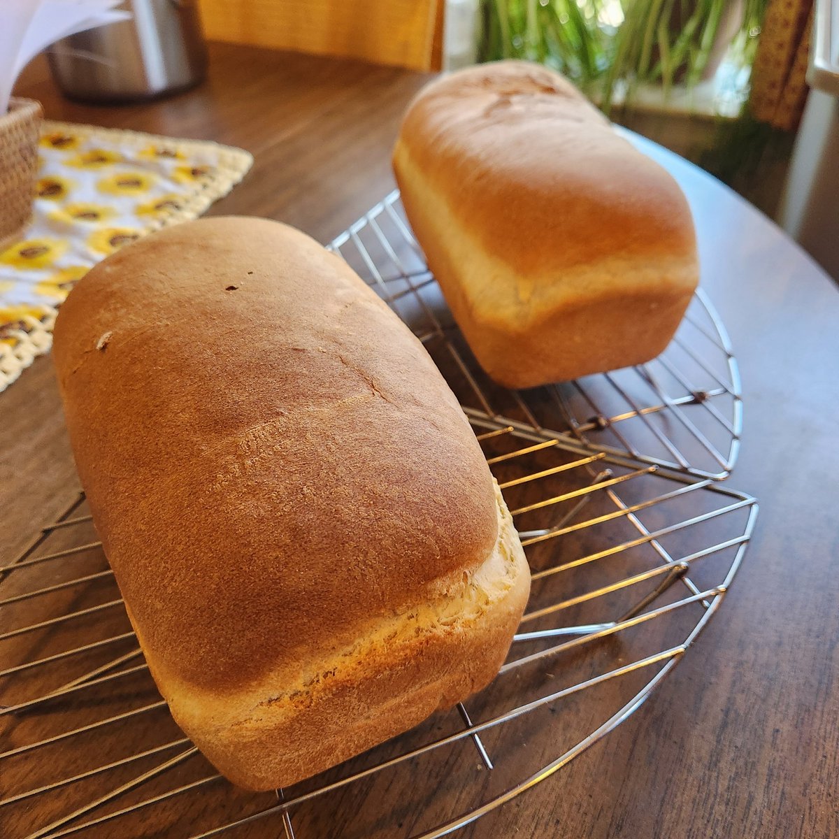 Fresh Homemade Bread ... Delicious 😋