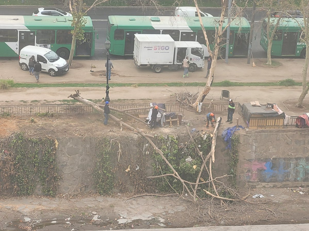 MapochoStaMaria's tweet photo. Otro árbol caído en la ribera del Río Mapocho, es el segundo en meses en el mismo lugar. ¿Qué pasa con el cuidado de los árboles @Muni_Stgo ? @IraciHassler @CamilaDavagnino @jmenaconcejal @rosarioxstgo https://t.co/x4S5HklN50