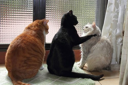 sam just                 cas &amp; dean having
vibing                     one of their stare offs