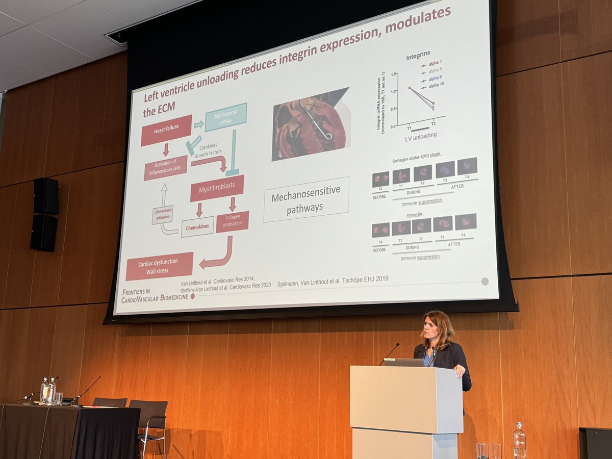 Alessandra Lodrini (@alelodrini) on Twitter photo Fascinating presentation by prof. Sophie Van Linthout on pathological mechanosensing.
❗️Extracellular matrix and mechanical triggers in the diseased heart impact immune cells and their crosstalk during tissue regeneration.
#FCVB2024 #ESCbasicscience <a href="/escardio/">European Society of Cardiology</a> Fascinating presentation by prof. Sophie Van Linthout on pathological mechanosensing.
❗️Extracellular matrix and mechanical triggers in the diseased heart impact immune cells and their crosstalk during tissue regeneration.
#FCVB2024 #ESCbasicscience <a href="/escardio/">European Society of Cardiology</a>