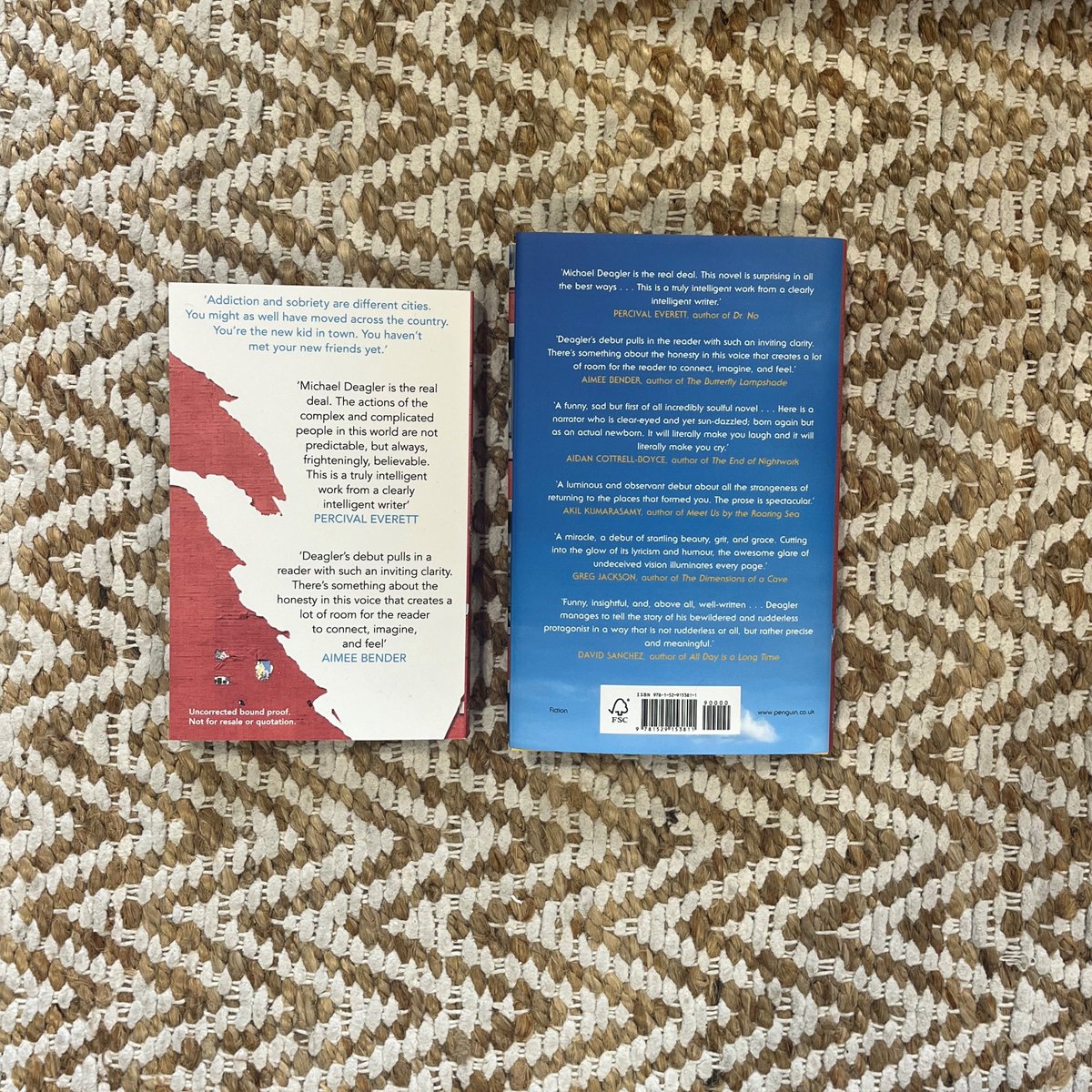 Beautiful finshed copies of @MichaelDeagler's witty second coming of age novel EARLY SOBRIETIES have landed! 🍺 'Truly intelligent' PERCIVALL EVERETT 🦜Illuminating and moving' AMY BENDER #EarlySobrieties 🦜