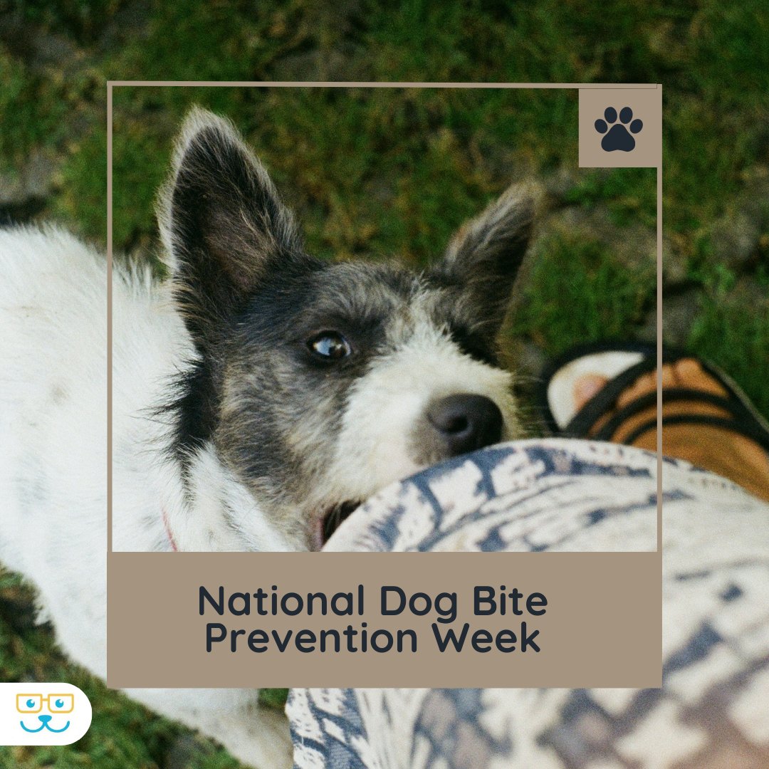 During National Dog Bite Prevention Week, we're reminded of the importance of understanding canine behavior. Over 4.5 million people are bitten by dogs each year in the U.S.. and we're promoting responsible pet ownership and prevent dog bites. #vieravet  #DogBitePrevention #R ...