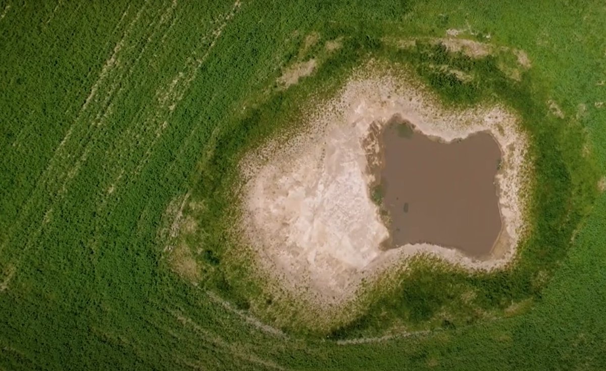 LoireBretagne's tweet photo. Dossier du mois #Biodiversité
👉En #Sologne, le @CenCentreLoire a acheté une #zonehumide de 80 ha, en 2018.
🐸Objectif : restaurer et gérer 23 #mares historiques, pour augmenter les habitats, et suivre l’évolution des populations d’amphibiens
▶️https://t.co/aKzn7tlpLr https://t.co/EEvNOc1FPV