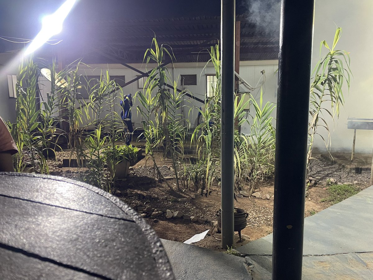 mtittoh's tweet image. Diesel bombing the mosquitoes #ThursdayRoutine