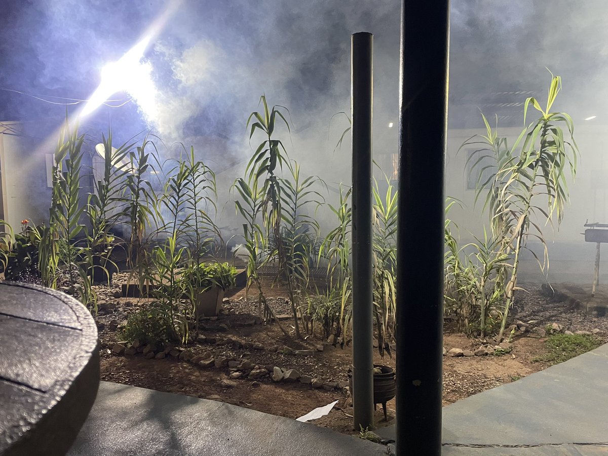 mtittoh's tweet image. Diesel bombing the mosquitoes #ThursdayRoutine