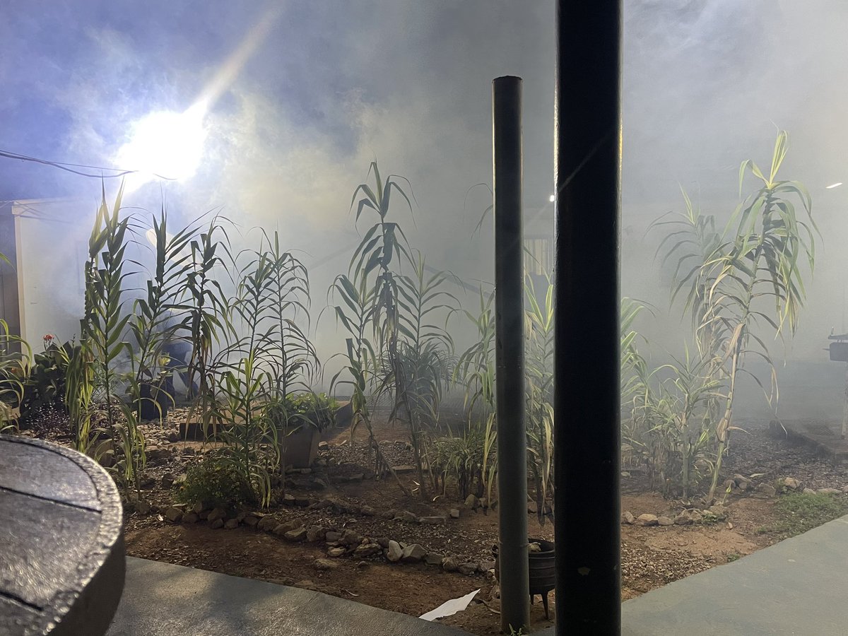 mtittoh's tweet image. Diesel bombing the mosquitoes #ThursdayRoutine