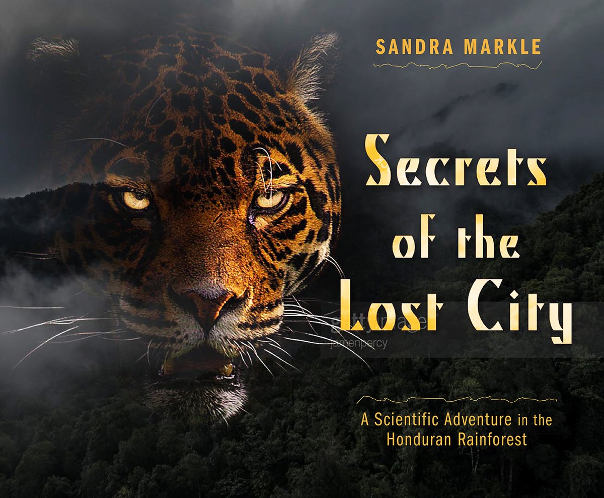 Sandra Markle (@sandra_markle) on Twitter photo Earth Day is coming! I'm delighted my book SECRETS OF THE LOST CITY (Lerner) is featured by the School Library Journal.
slj.com/story/eleven-m… <a href="/lerner/">Lerner</a> <a href="/ScholasticEdu/">Scholastic Teachers</a> <a href="/sljournal/">SchoolLibraryJournal</a> <a href="/ALALibrary/">American Library Association</a> Earth Day is coming! I'm delighted my book SECRETS OF THE LOST CITY (Lerner) is featured by the School Library Journal.
slj.com/story/eleven-m… <a href="/lerner/">Lerner</a> <a href="/ScholasticEdu/">Scholastic Teachers</a> <a href="/sljournal/">SchoolLibraryJournal</a> <a href="/ALALibrary/">American Library Association</a>