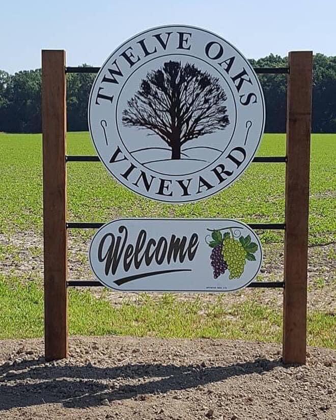 It is Friday and you made it to the weekend! We are open today, Saturday, and Sunday from 12-6 p.m. #twelveoaksvineyard #tov #thevineyard #illinoiswine #iggva #clintoncountytourism #carlylelakewinetrail #downstateil #enjoyillinois #tastingroomisopen🍷