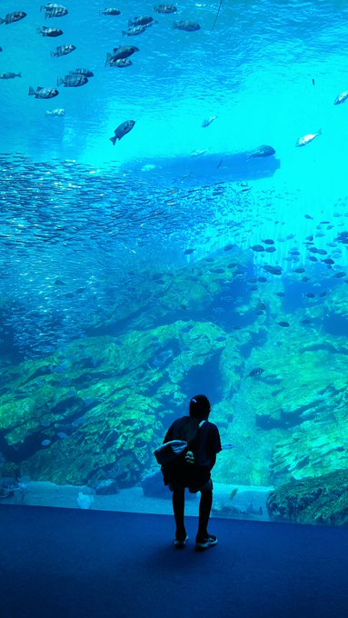 Twitterのコスプレ画像35