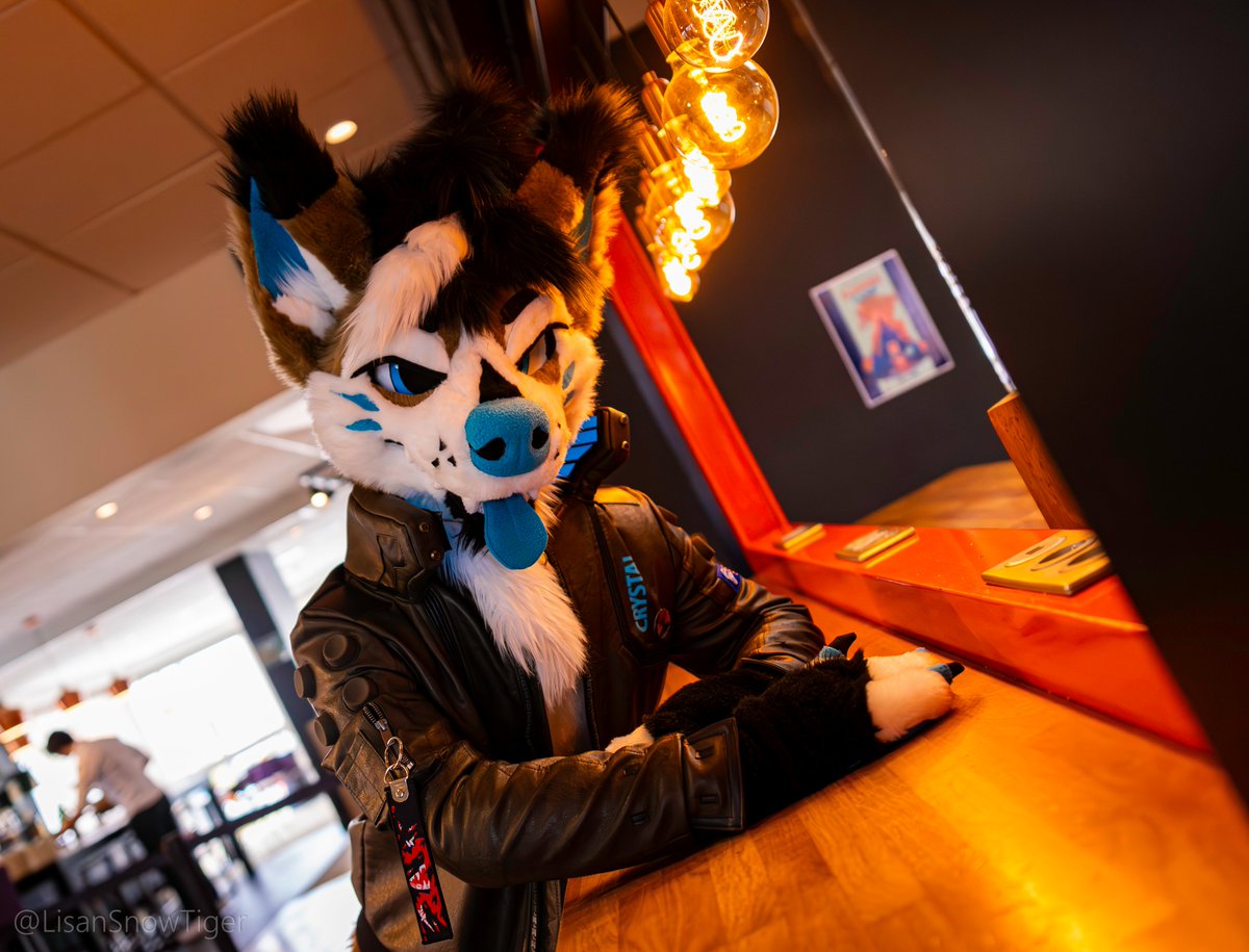 PriamWolf tweet media