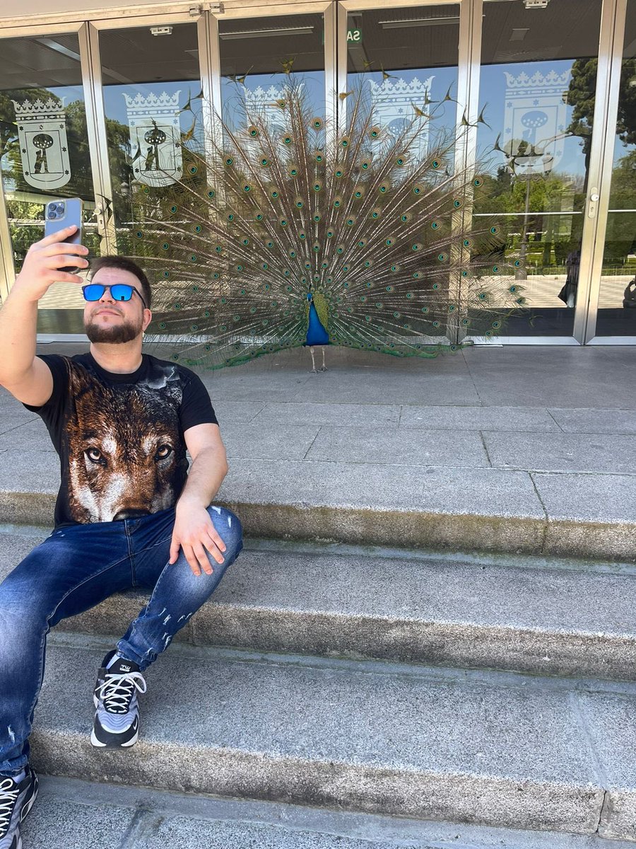 Style tweet media