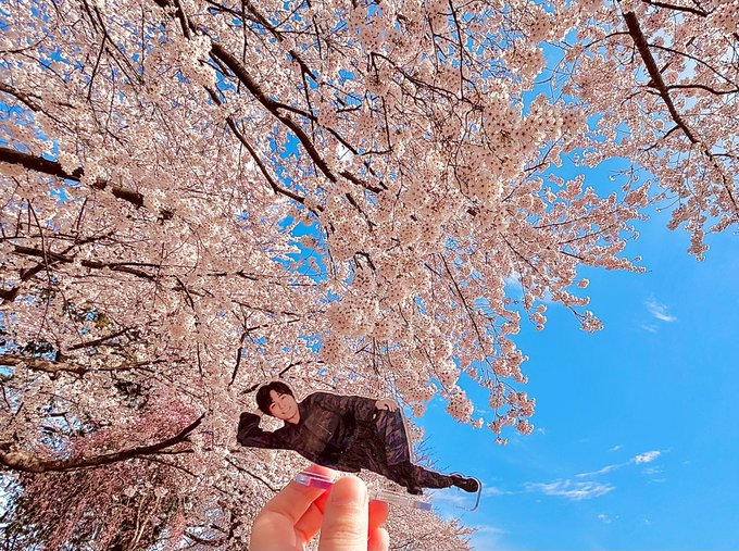 「桜 瞑目」のTwitter画像/イラスト(新着)｜3ページ目