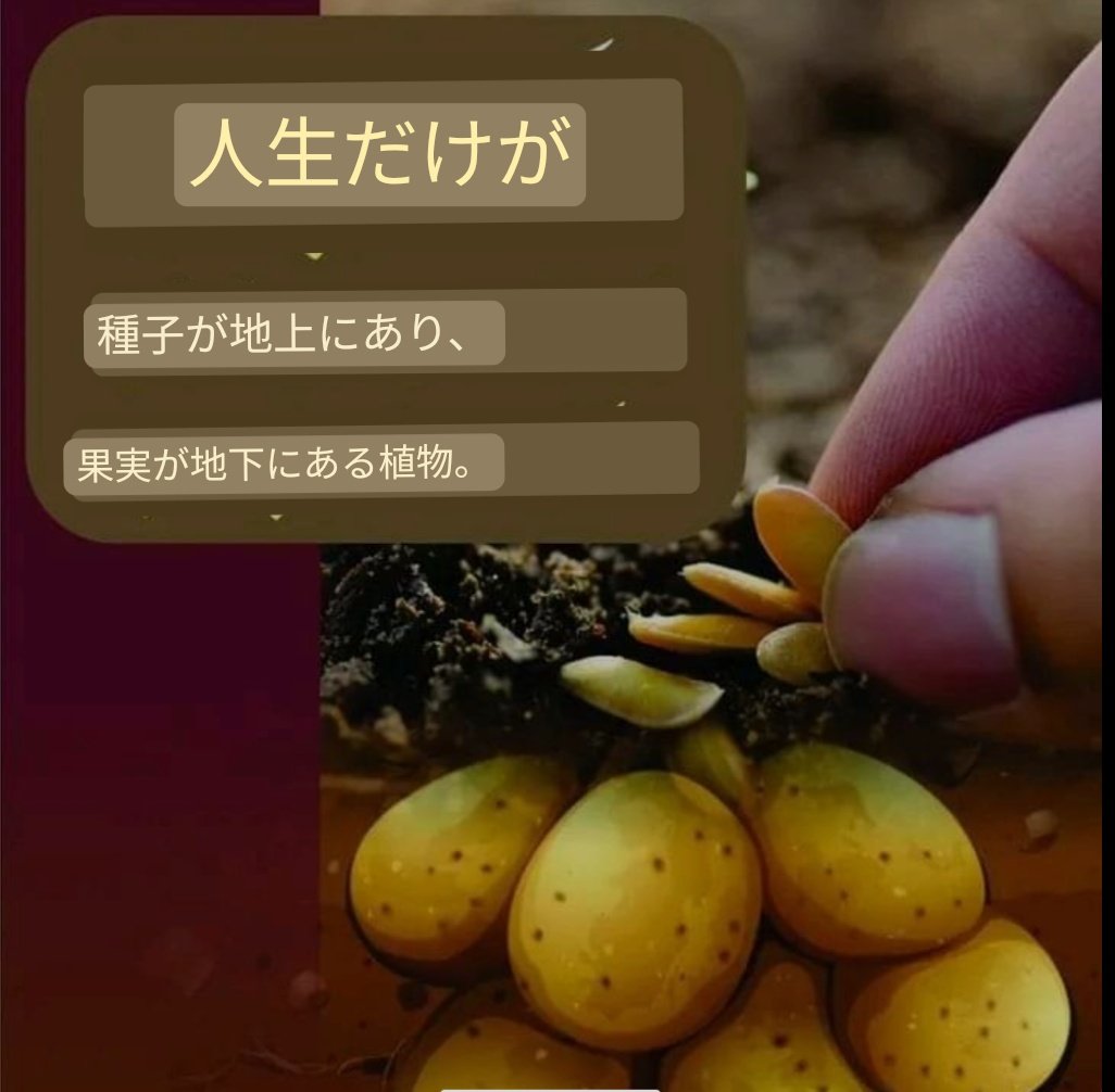 #原神予告番組
#Mステ