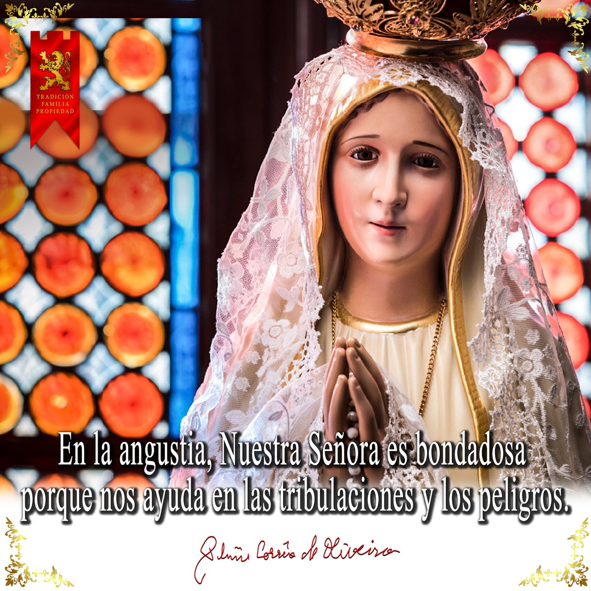 En las angustias, Nuestra Señora es bondadosa

#Virgenmaria #catolica #frases #TFP #Ecuador