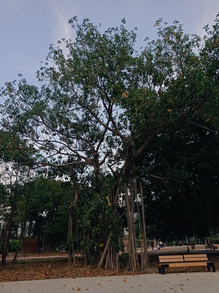 Çok ihtişamlı ✨✨