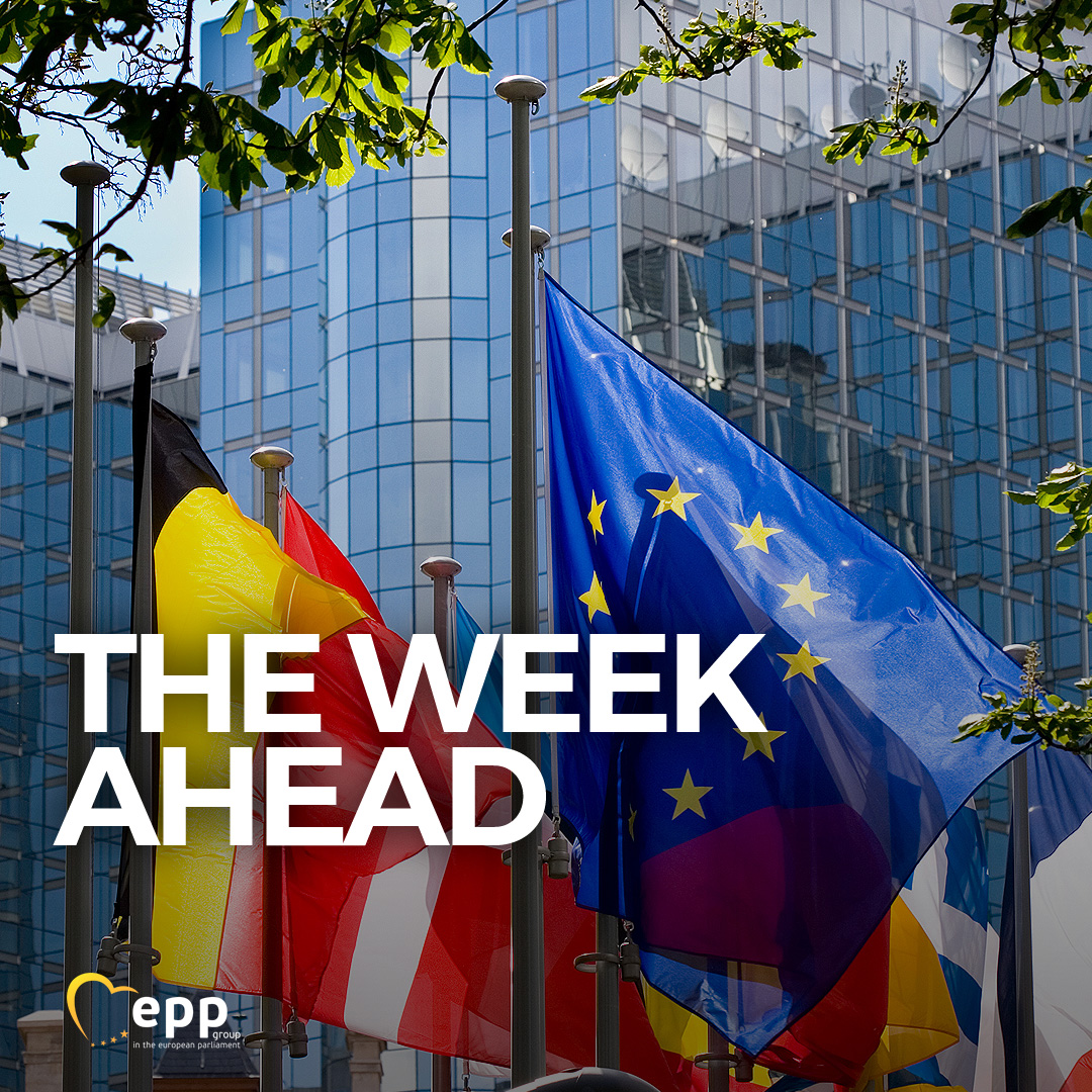 📆Important dates in our calendar next week! 🔵On Monday in Italy & on Friday in Ireland we will debate the #EuropeanFarmers’ Deal 🔵On Wednesday & Thursday, a special #EUCO will be held to tackle #EUCompetitiveness and the EU’s relations with Turkey 🔗epp.group/i1eyjh