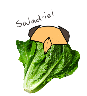 Anael's wonderful, Salad.