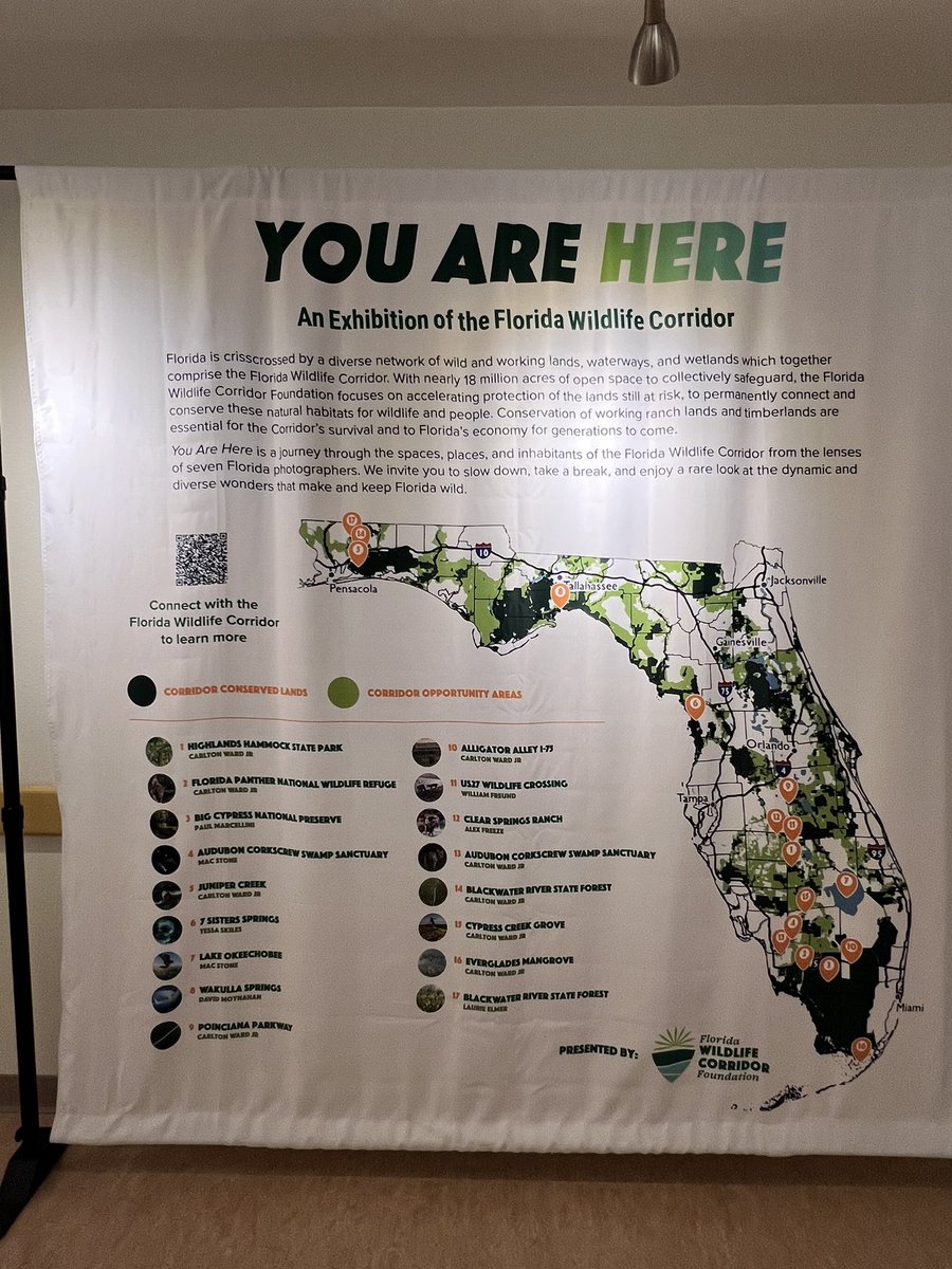 We had an excellent time at the installation of the Florida Wildlife Corridor Photo Exhibit and Mural at Lyonia Environmental Center. Beautiful art! #visitwestvolusia #oldfloridanewvibe #getawayandplay #discoverflorida #floridaexplored