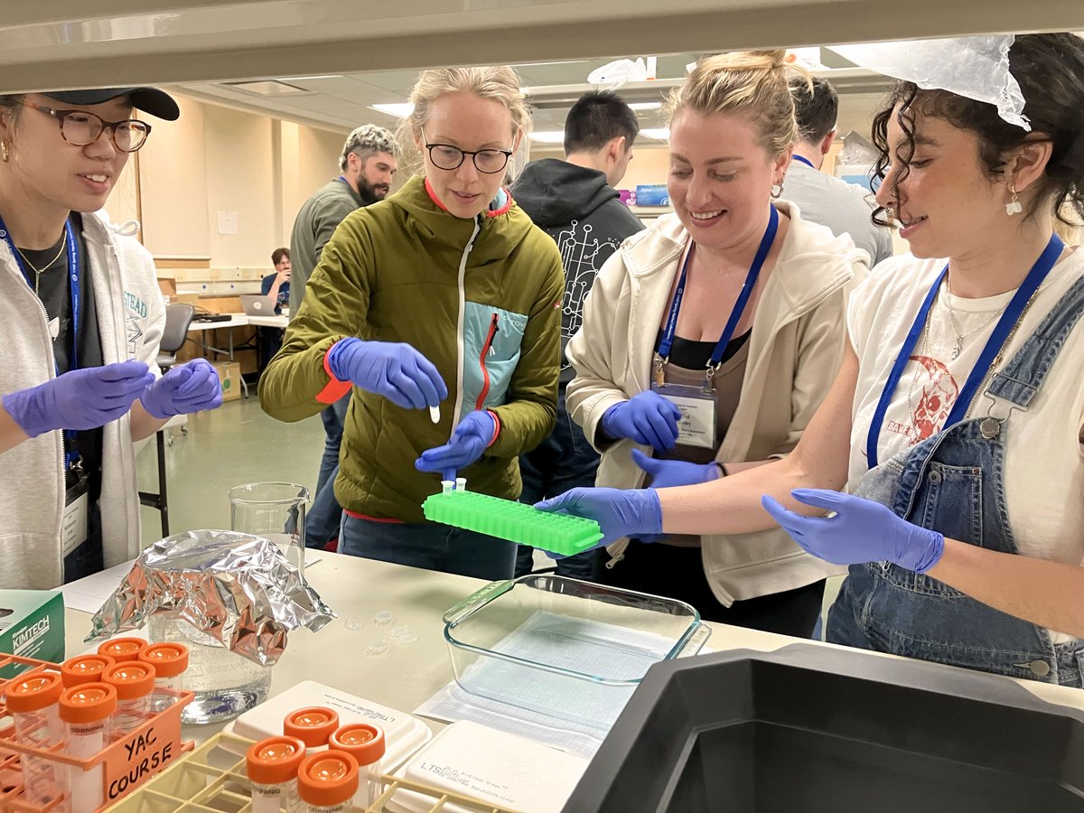 Quantitative Imaging tweet media