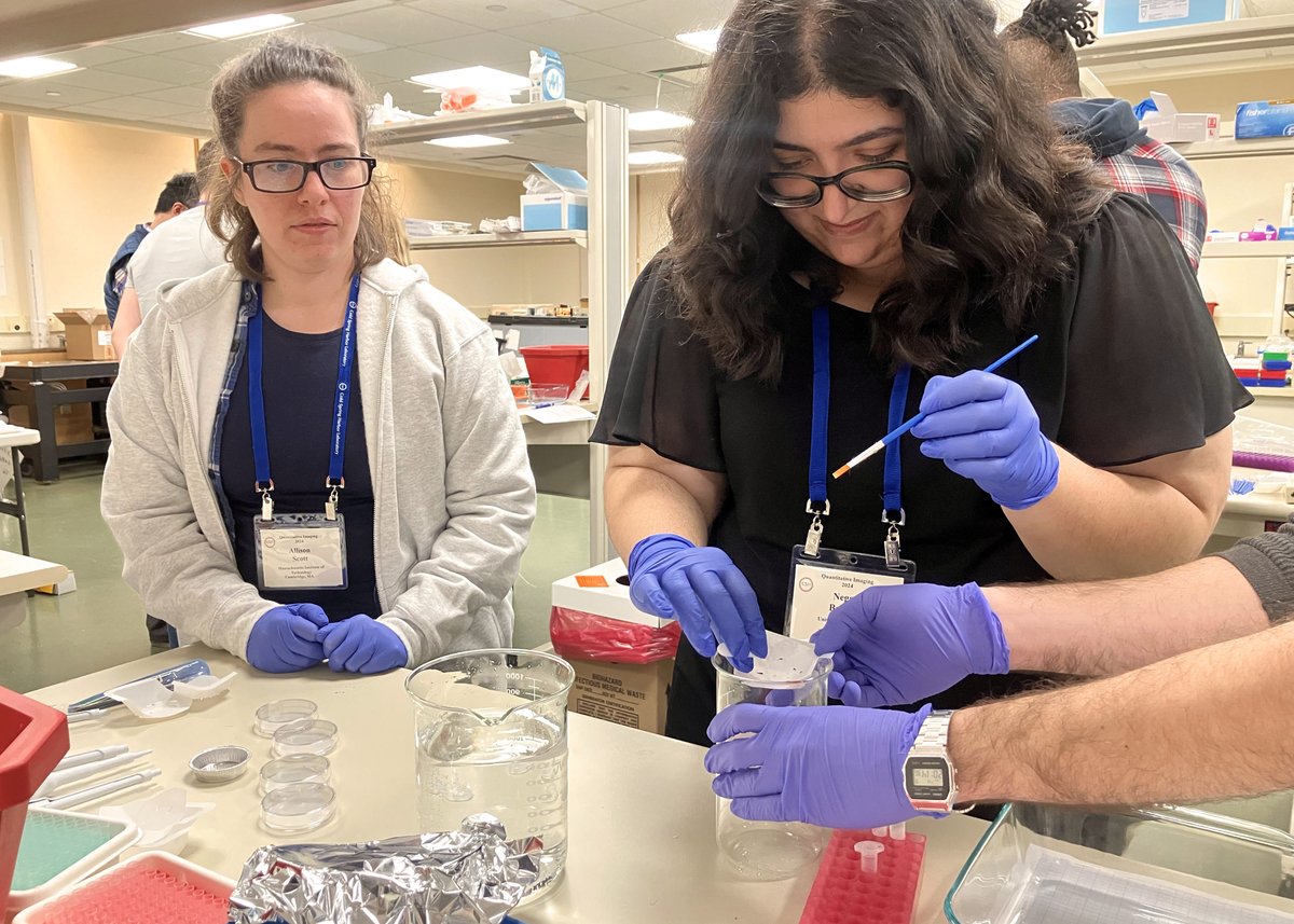 Quantitative Imaging tweet media