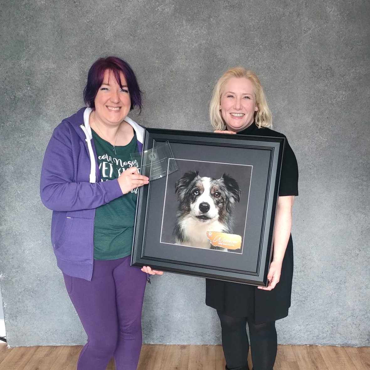 Huge congratulations to Fiona at the Purple Pomegranate Photography Studios here in Shields for winning International Dog Photographer of the Year!🐶📸 Find out more about Fiona's current projects in our area👇 purplepom.com/one-dog