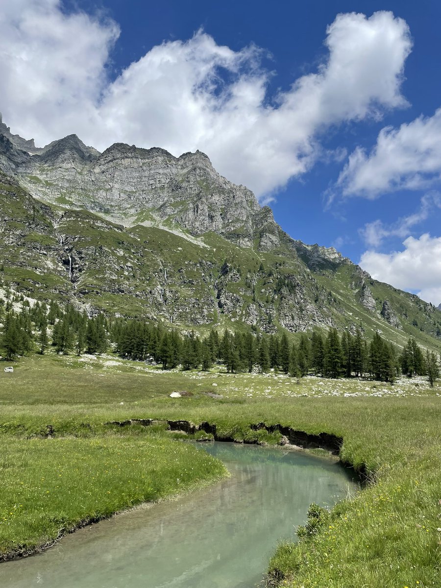 The preparation of our Solarpunk Nomads Alpine expedition continues and we are now less then 2 months from the start day 🔥
This is one of the places where we will wild camp 🏕️