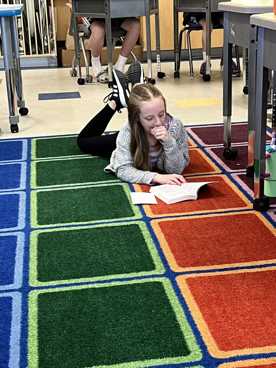 Even mathematicians need reading! 
#ccslibrarymedia #onechatham #dropeverythingandread #CGE4me #math5