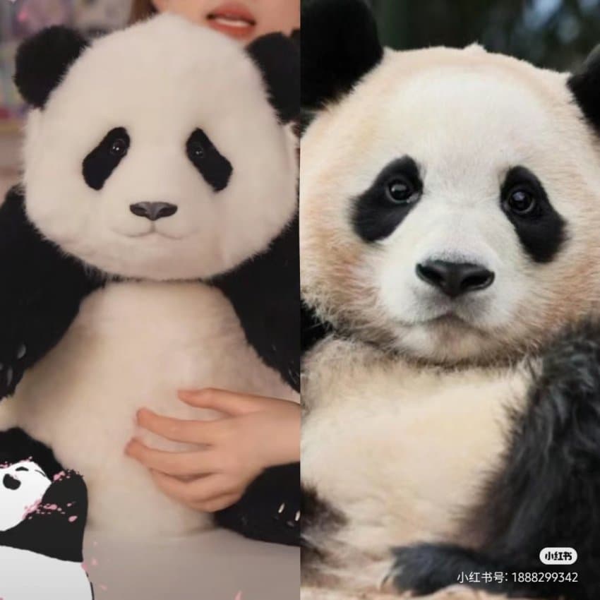 중국 판다 인형 공장에서 만든 푸바오 인형이라는데 (It says it's a Pooh bear doll made in a Chinese panda doll factory.) instiz.net/name_enter/916…