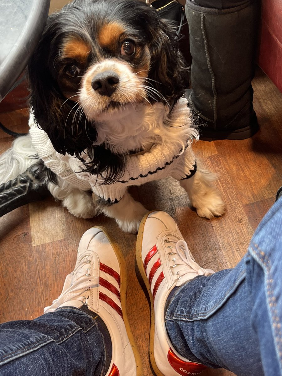 Friday sharing with our Lola, Mrs has dressed her like she’s about to open the bowling at Edgbaston. Trimm star colnago on foot, #shareyourstripes