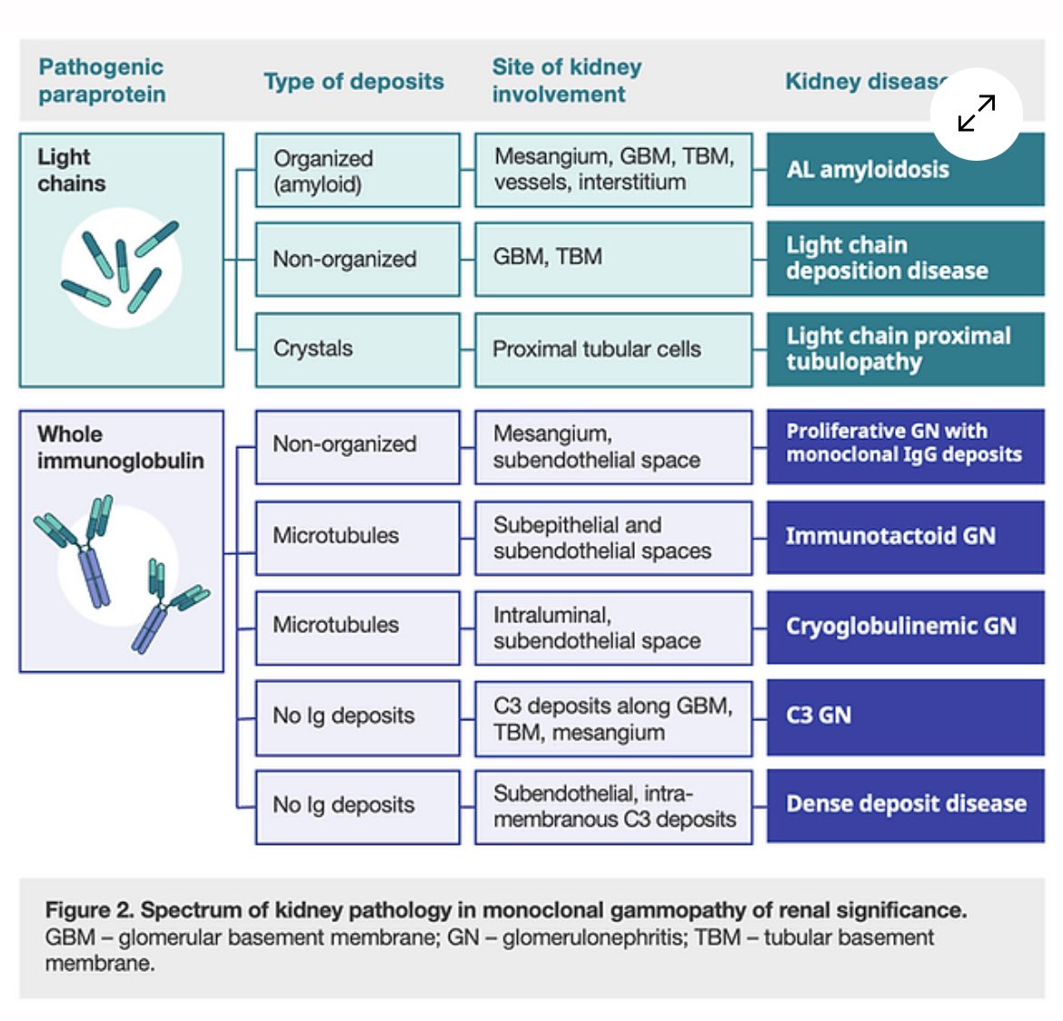 Jasmine Sethi tweet media