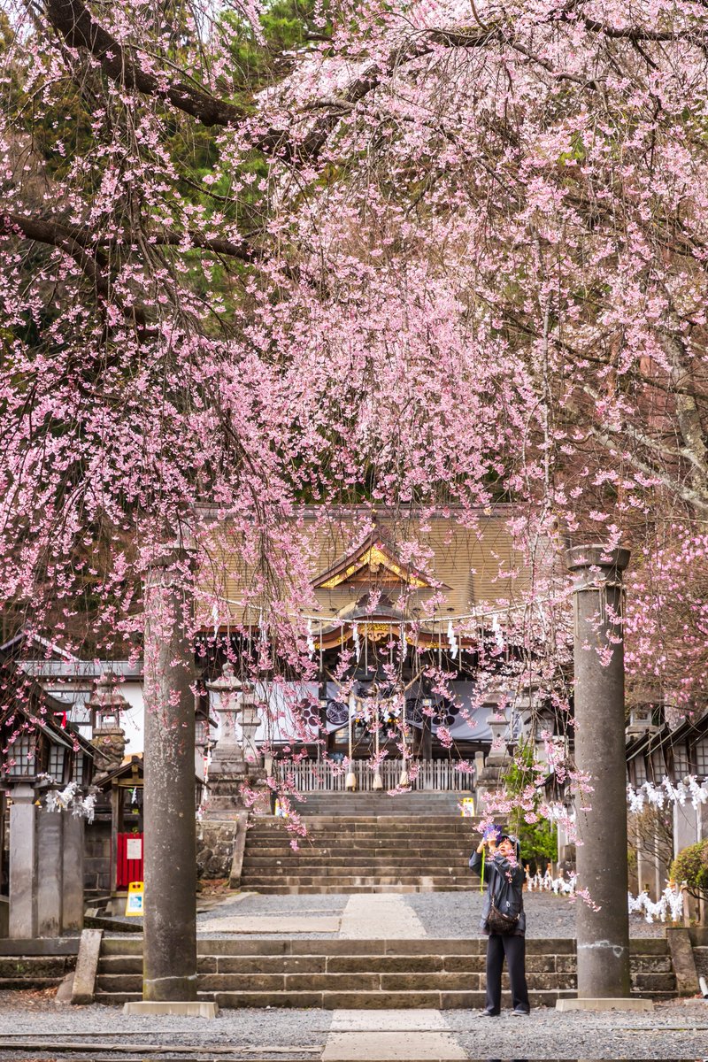 白河南湖神社しだれ桜

鳥居前のしだれ桜が満開で、とても綺麗でした🌸

2024-4-12

#はなまっぷ
#桜
#さくら
#東北リラックス
#東北が美しい 
#福島撮影隊 
⁡#ふくしま撮る旅 
⁡#ふくつぶ ⁡⁡
⁡#南湖神社 
#東京カメラ部
#nikon ⁡
#d500 
⁡#私とニコンで見た世界⁡ 
⁡